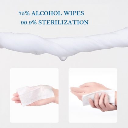 Free 75% Alcohol Hand Sanitizer Wipes Antibacterial Disposable Wet Wipes Pack