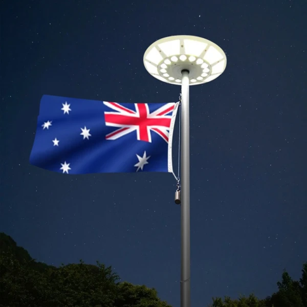 Flagpole with light store on top