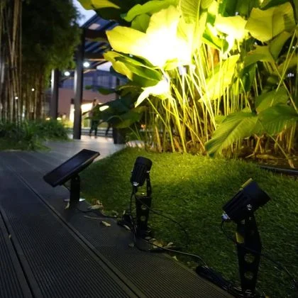 Outdoor Dual Ground Solar Spot Light with Separate Solar Panel IP65