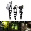 Outdoor Dual Ground Solar Spot Light with Separate Solar Panel IP65